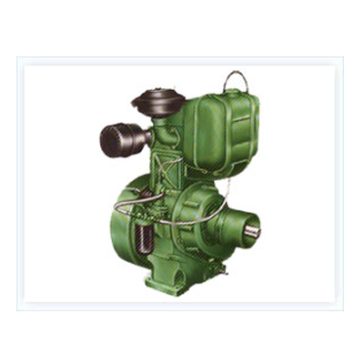 Single Cylinder Air Cooled Diesel Engines With Cast 
